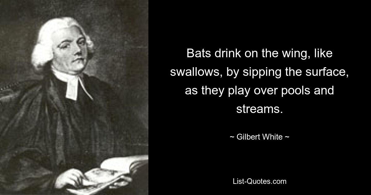 Bats drink on the wing, like swallows, by sipping the surface, as they play over pools and streams. — © Gilbert White