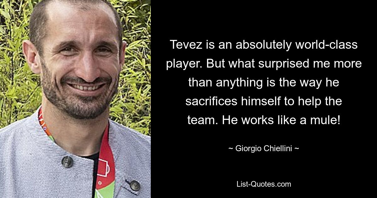 Tevez is an absolutely world-class player. But what surprised me more than anything is the way he sacrifices himself to help the team. He works like a mule! — © Giorgio Chiellini