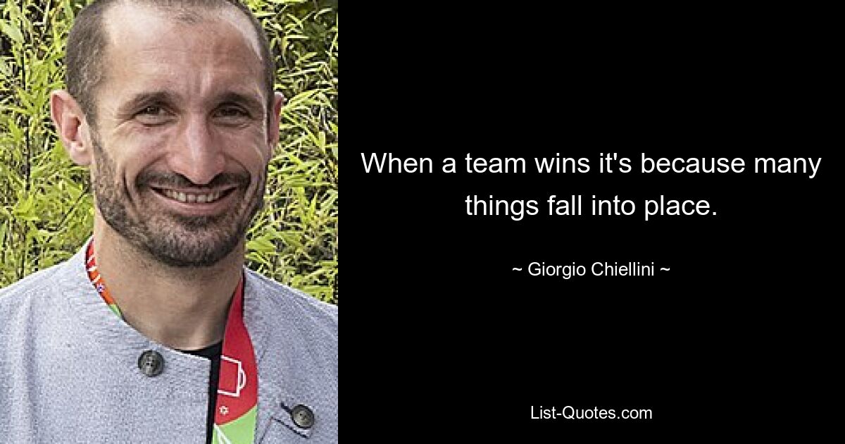 When a team wins it's because many things fall into place. — © Giorgio Chiellini