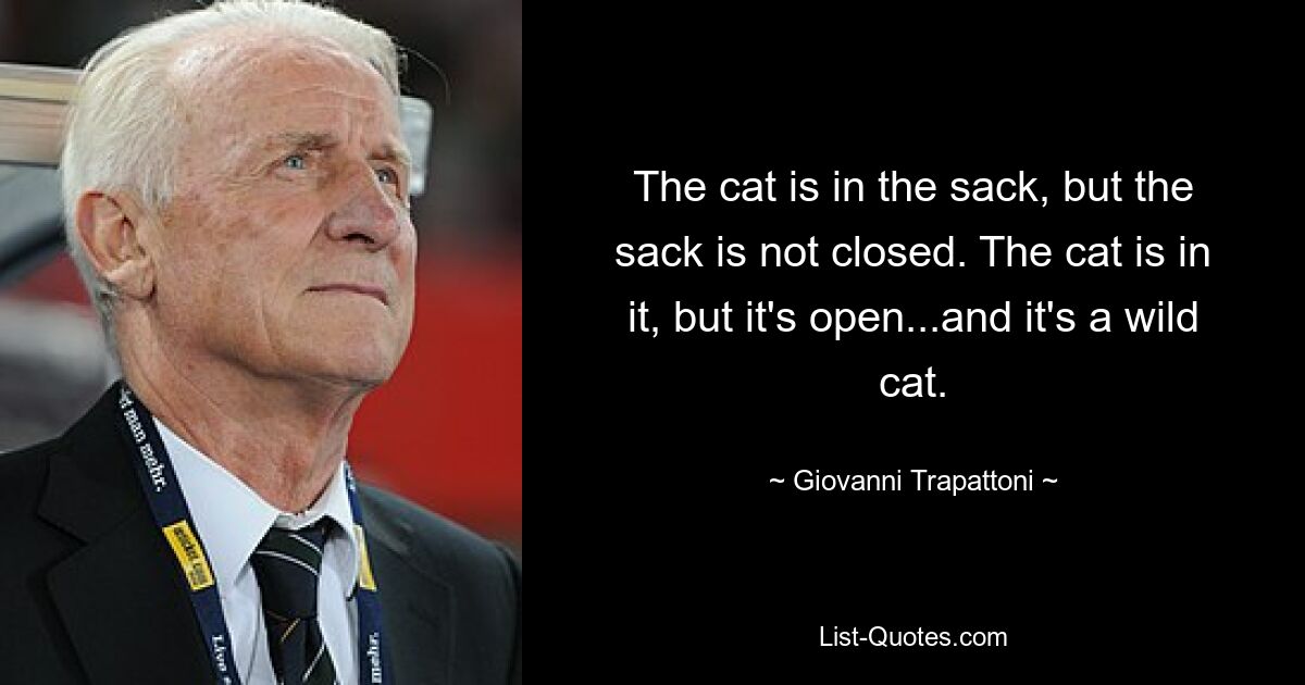 Кот в мешке, но мешок не закрыт. Кот в нем, но он открыт... и это дикий кот. — © Джованни Трапаттони 