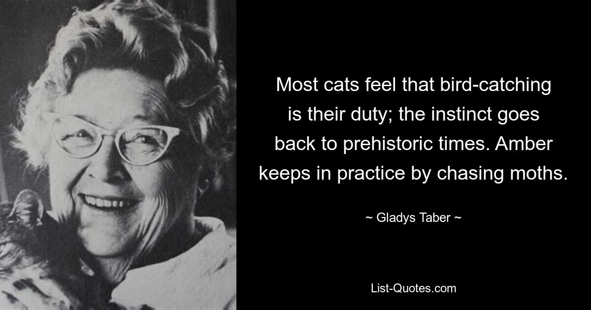 Most cats feel that bird-catching is their duty; the instinct goes back to prehistoric times. Amber keeps in practice by chasing moths. — © Gladys Taber