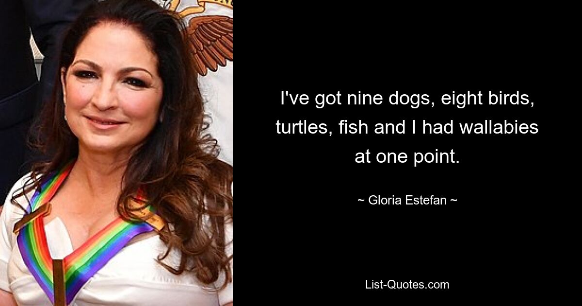 I've got nine dogs, eight birds, turtles, fish and I had wallabies at one point. — © Gloria Estefan