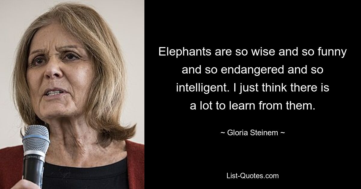 Elephants are so wise and so funny and so endangered and so intelligent. I just think there is a lot to learn from them. — © Gloria Steinem