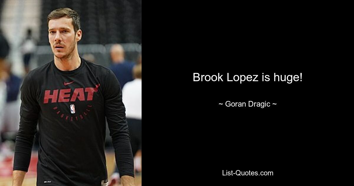 Brook Lopez ist riesig! — © Goran Dragic 