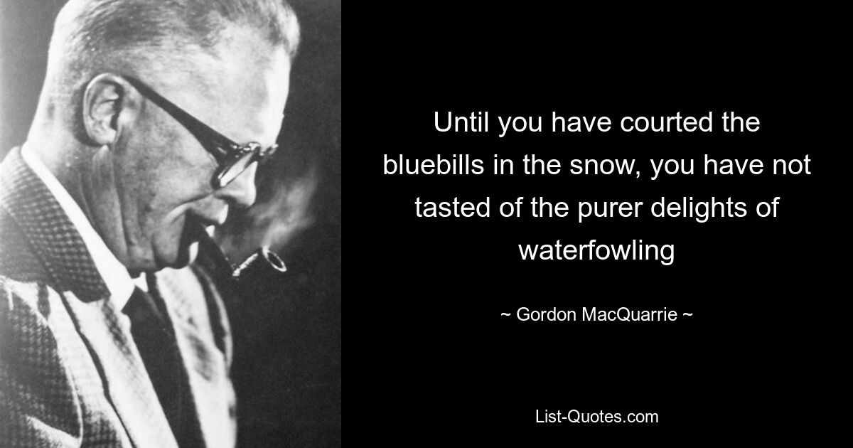 Until you have courted the bluebills in the snow, you have not tasted of the purer delights of waterfowling — © Gordon MacQuarrie