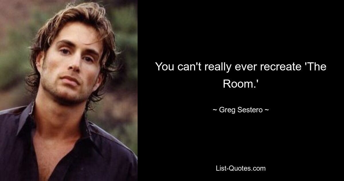 You can't really ever recreate 'The Room.' — © Greg Sestero