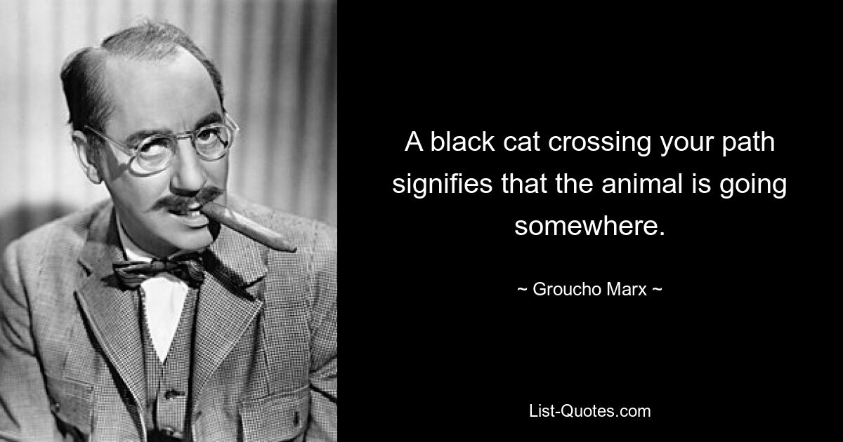 A black cat crossing your path signifies that the animal is going somewhere. — © Groucho Marx