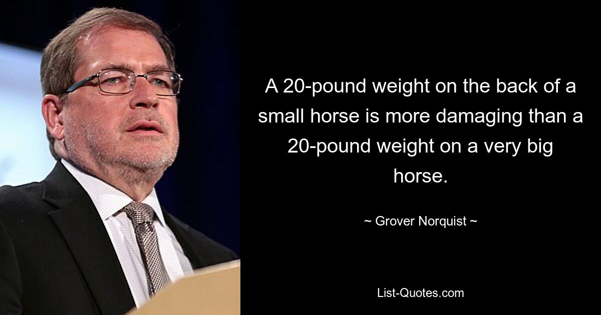 A 20-pound weight on the back of a small horse is more damaging than a 20-pound weight on a very big horse. — © Grover Norquist