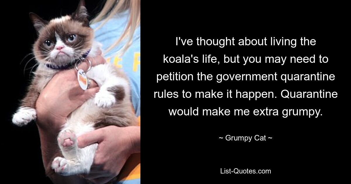 I've thought about living the koala's life, but you may need to petition the government quarantine rules to make it happen. Quarantine would make me extra grumpy. — © Grumpy Cat