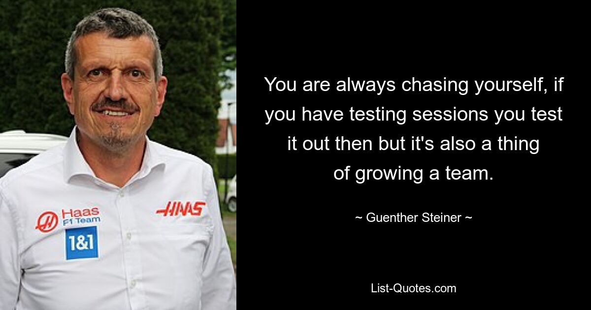 You are always chasing yourself, if you have testing sessions you test it out then but it's also a thing of growing a team. — © Guenther Steiner