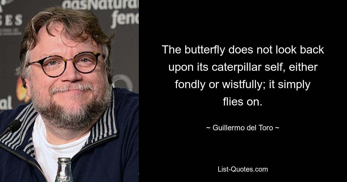 The butterfly does not look back upon its caterpillar self, either fondly or wistfully; it simply flies on. — © Guillermo del Toro