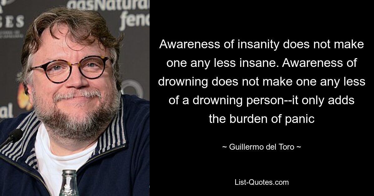 Awareness of insanity does not make one any less insane. Awareness of drowning does not make one any less of a drowning person--it only adds the burden of panic — © Guillermo del Toro