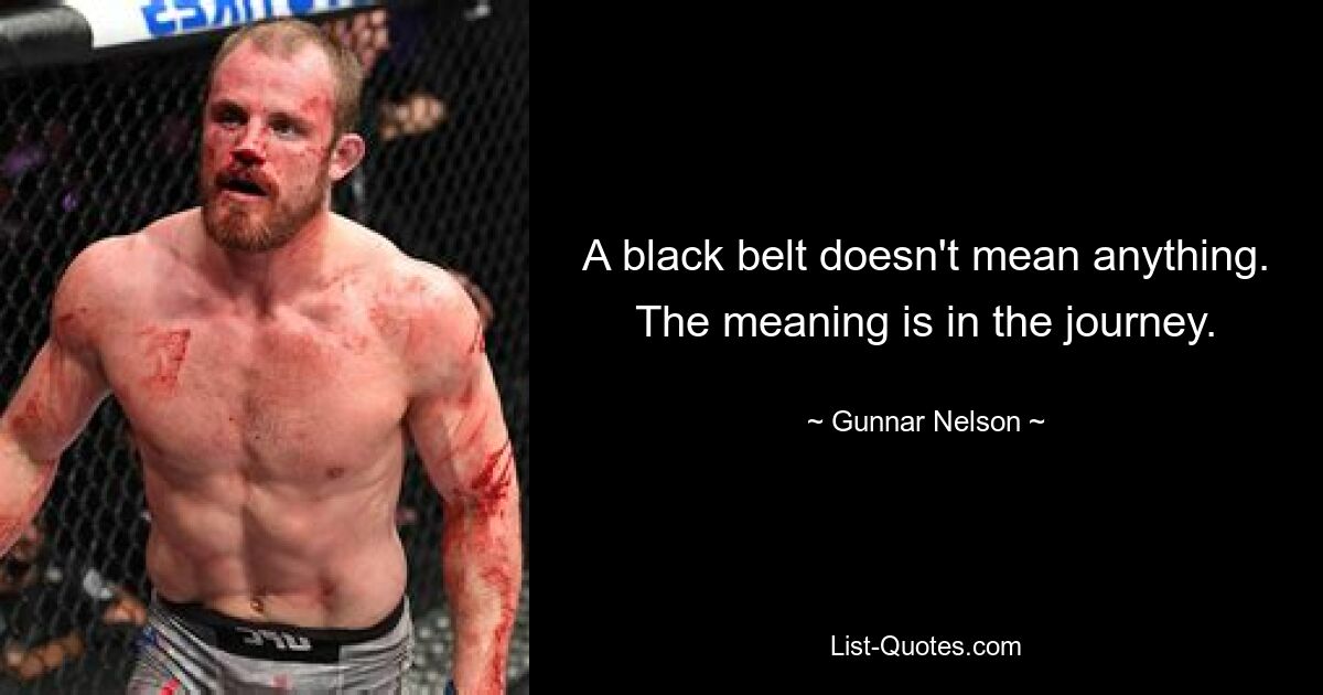 A black belt doesn't mean anything. The meaning is in the journey. — © Gunnar Nelson