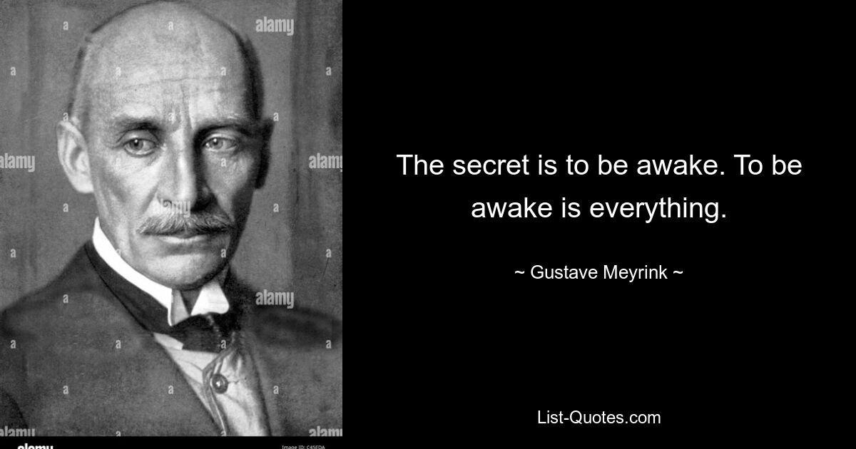 The secret is to be awake. To be awake is everything. — © Gustave Meyrink