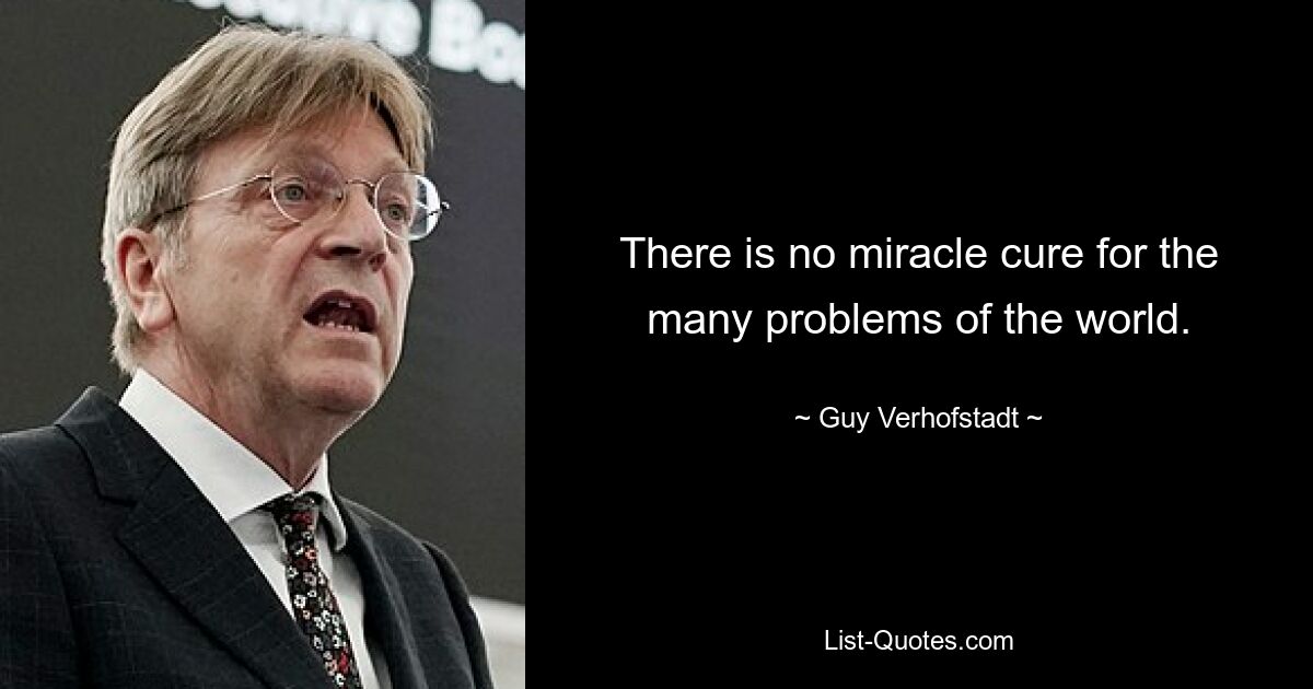 There is no miracle cure for the many problems of the world. — © Guy Verhofstadt