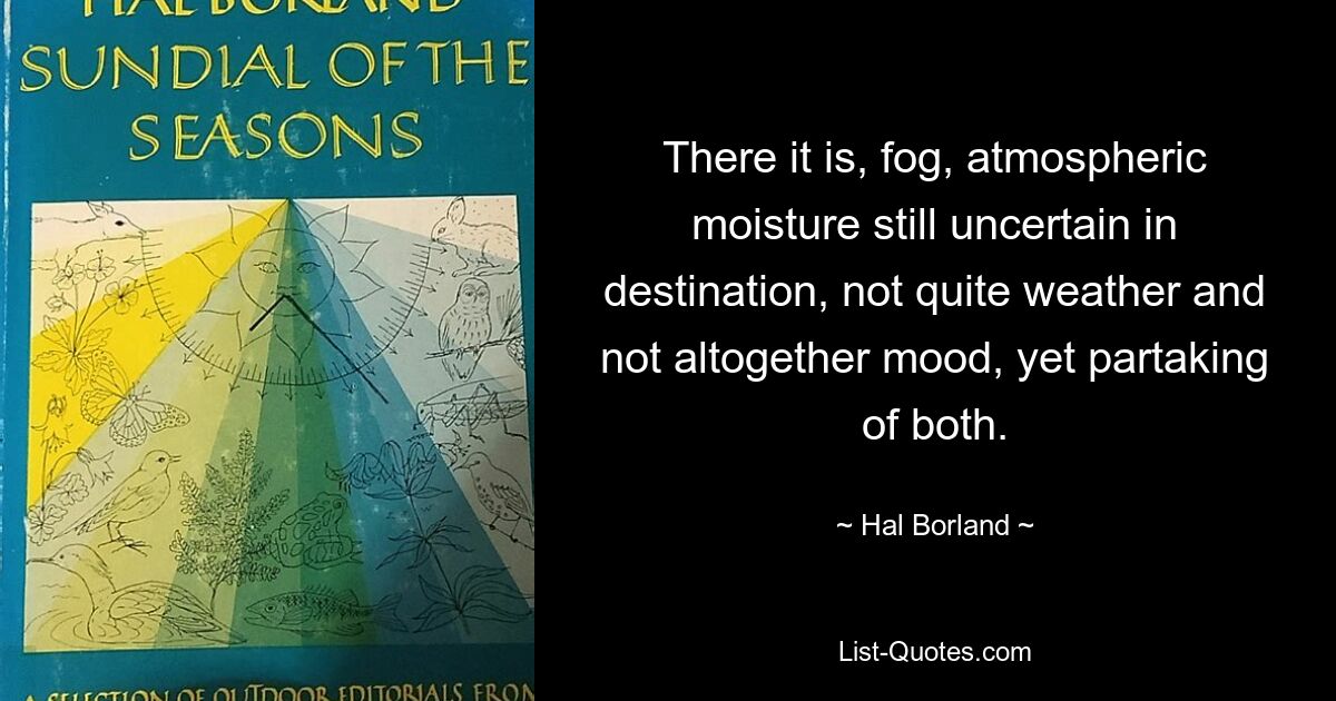 Вот он, туман, атмосферная влага, еще не определенная по назначению, не совсем погода и не совсем настроение, но причастная к тому и другому. — © Хэл Борланд 