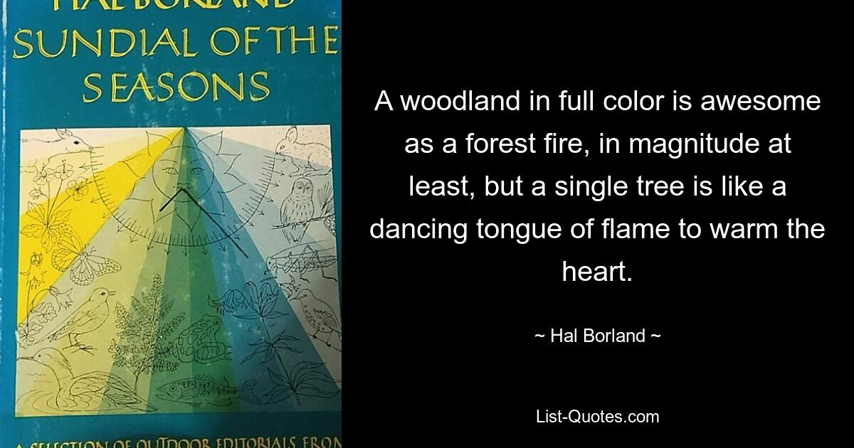 A woodland in full color is awesome as a forest fire, in magnitude at least, but a single tree is like a dancing tongue of flame to warm the heart. — © Hal Borland