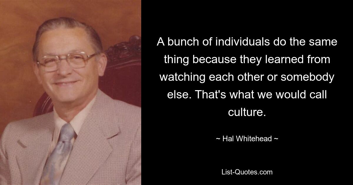 A bunch of individuals do the same thing because they learned from watching each other or somebody else. That's what we would call culture. — © Hal Whitehead