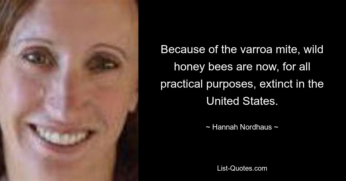 Because of the varroa mite, wild honey bees are now, for all practical purposes, extinct in the United States. — © Hannah Nordhaus