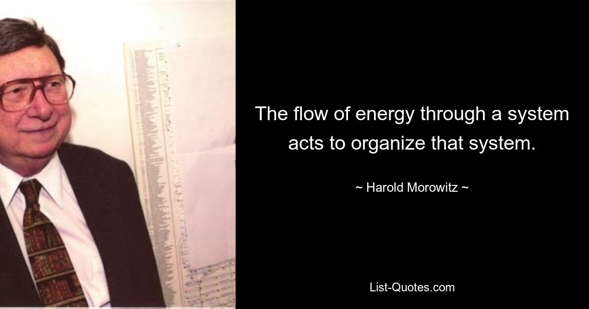 The flow of energy through a system acts to organize that system. — © Harold Morowitz