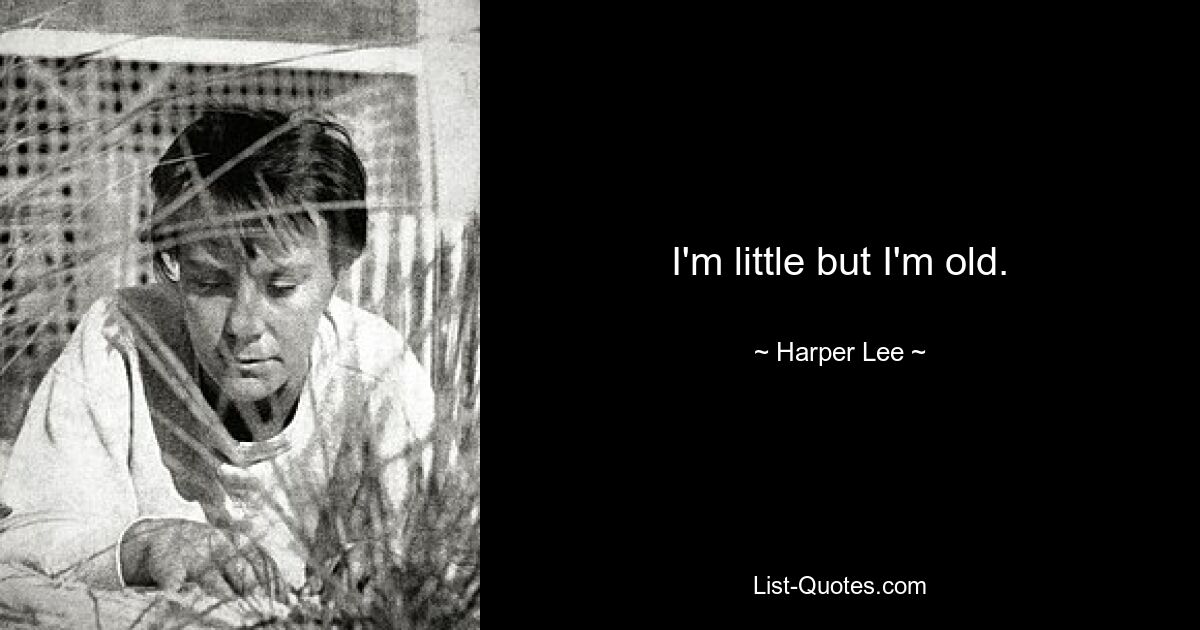 I'm little but I'm old. — © Harper Lee