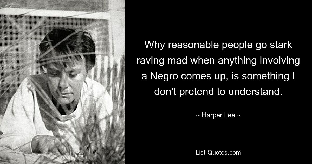 Why reasonable people go stark raving mad when anything involving a Negro comes up, is something I don't pretend to understand. — © Harper Lee