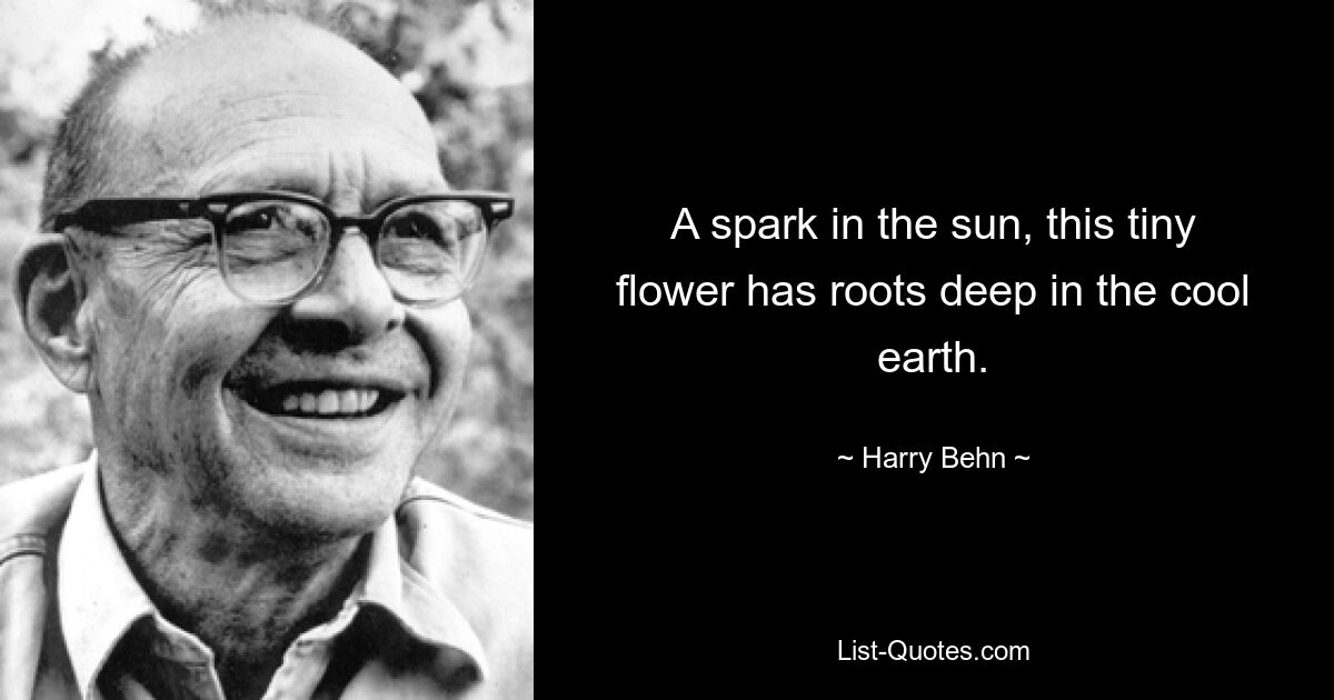 A spark in the sun, this tiny flower has roots deep in the cool earth. — © Harry Behn