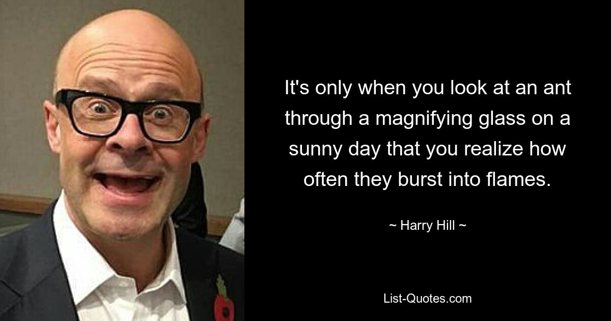 It's only when you look at an ant through a magnifying glass on a sunny day that you realize how often they burst into flames. — © Harry Hill