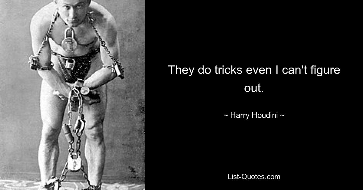 They do tricks even I can't figure out. — © Harry Houdini