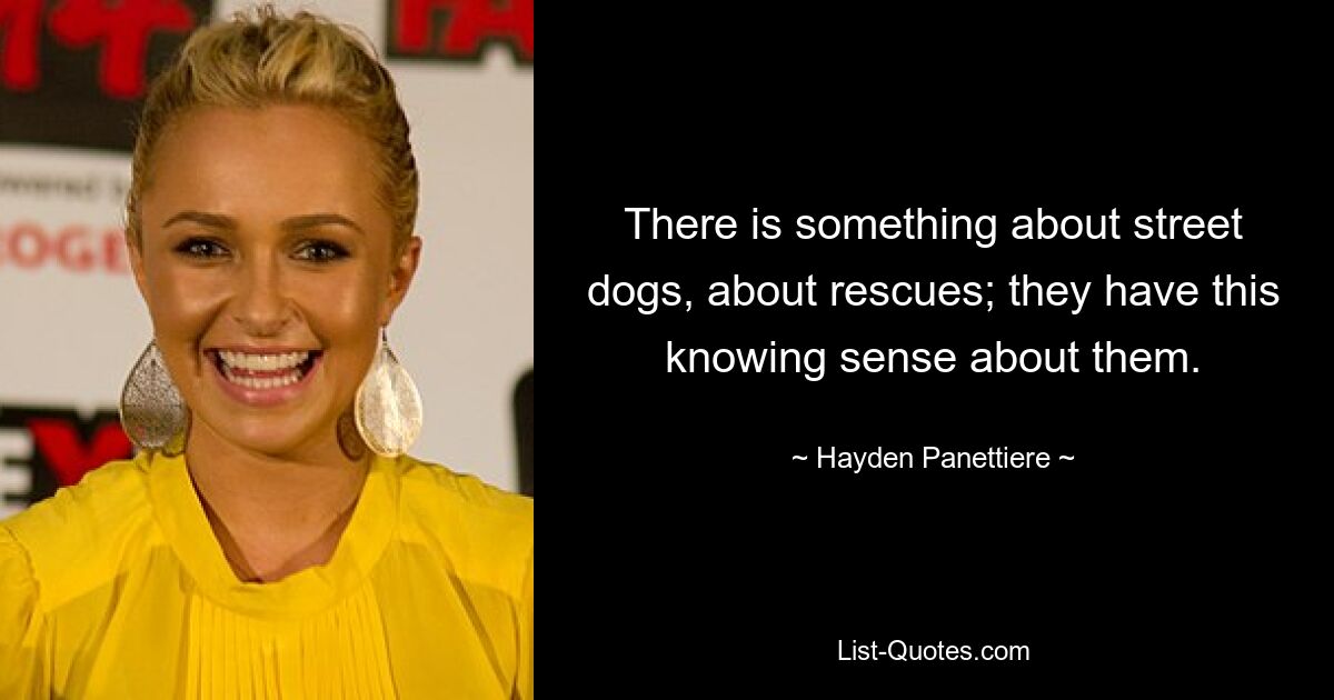 There is something about street dogs, about rescues; they have this knowing sense about them. — © Hayden Panettiere