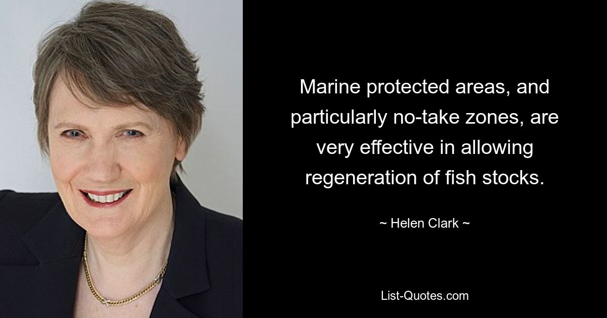 Marine protected areas, and particularly no-take zones, are very effective in allowing regeneration of fish stocks. — © Helen Clark