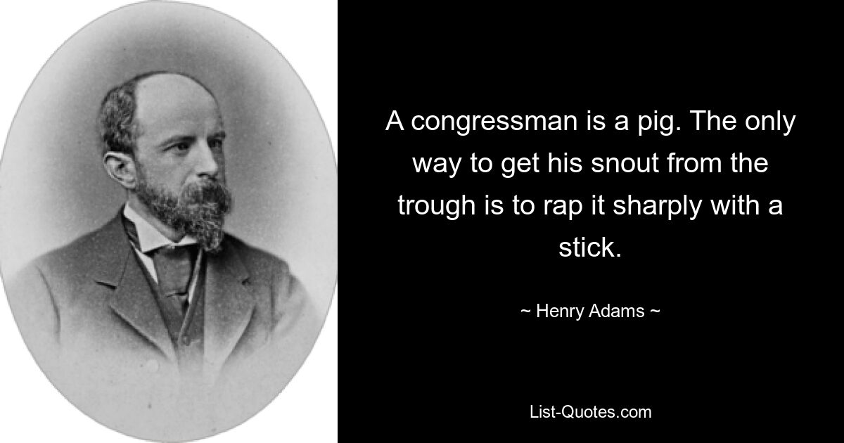 A congressman is a pig. The only way to get his snout from the trough is to rap it sharply with a stick. — © Henry Adams