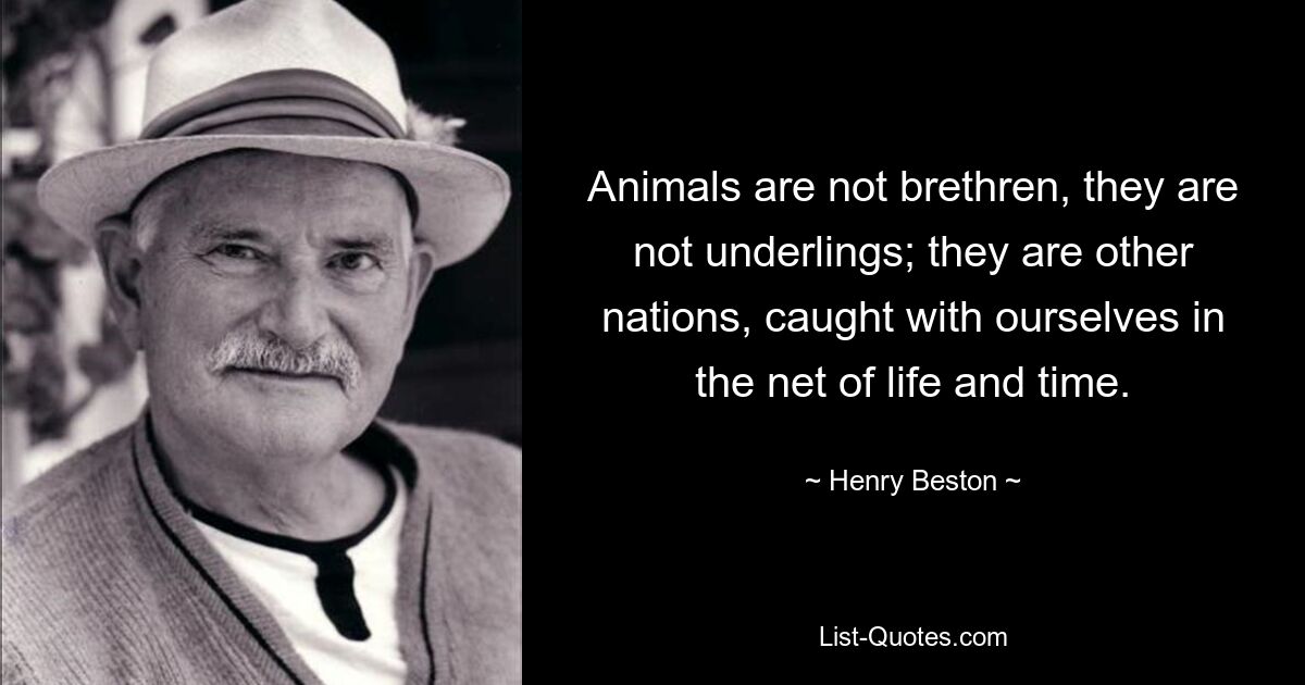 Animals are not brethren, they are not underlings; they are other nations, caught with ourselves in the net of life and time. — © Henry Beston