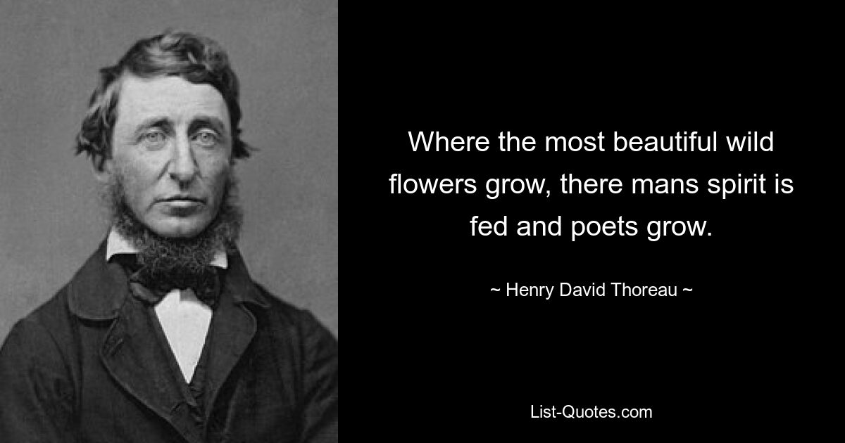 Where the most beautiful wild flowers grow, there mans spirit is fed and poets grow. — © Henry David Thoreau