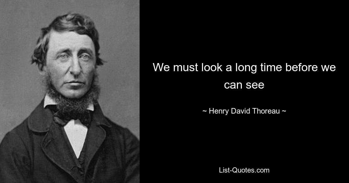 We must look a long time before we can see — © Henry David Thoreau