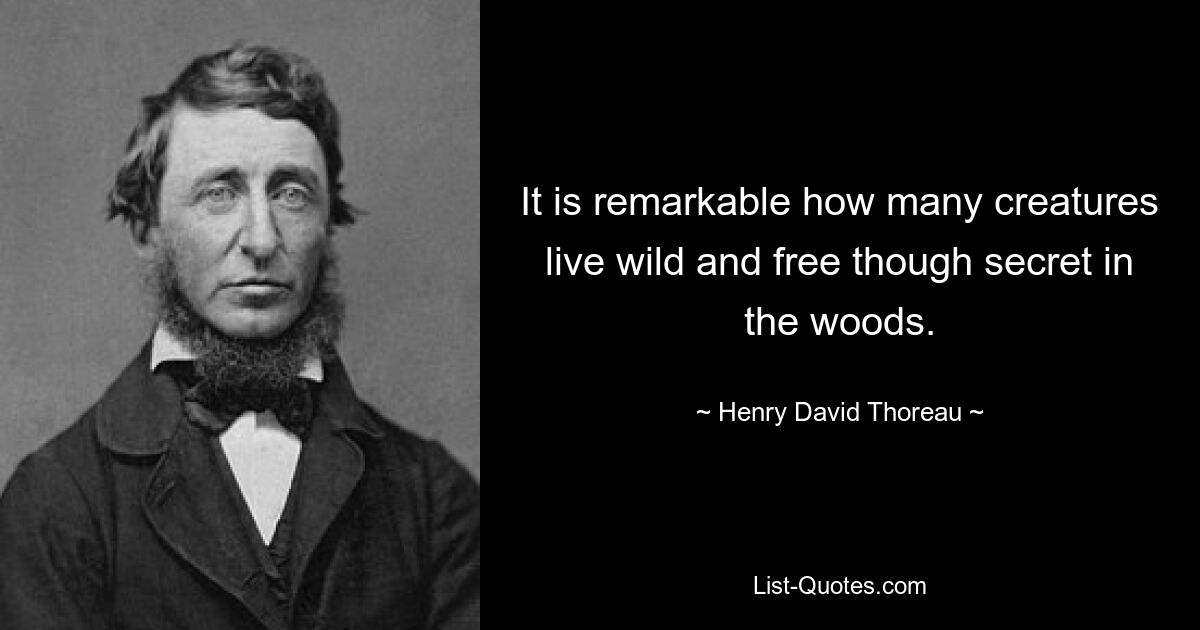 It is remarkable how many creatures live wild and free though secret in the woods. — © Henry David Thoreau