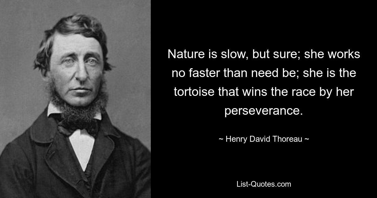 Nature is slow, but sure; she works no faster than need be; she is the tortoise that wins the race by her perseverance. — © Henry David Thoreau