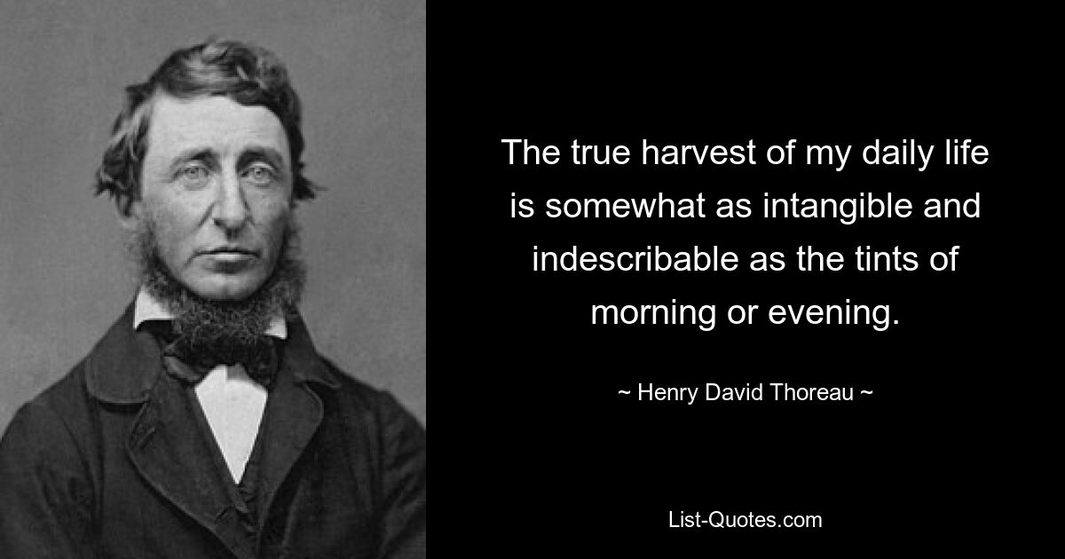 The true harvest of my daily life is somewhat as intangible and indescribable as the tints of morning or evening. — © Henry David Thoreau