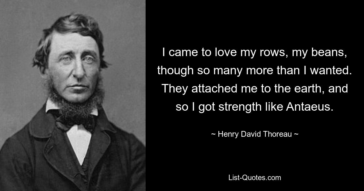 I came to love my rows, my beans, though so many more than I wanted. They attached me to the earth, and so I got strength like Antaeus. — © Henry David Thoreau