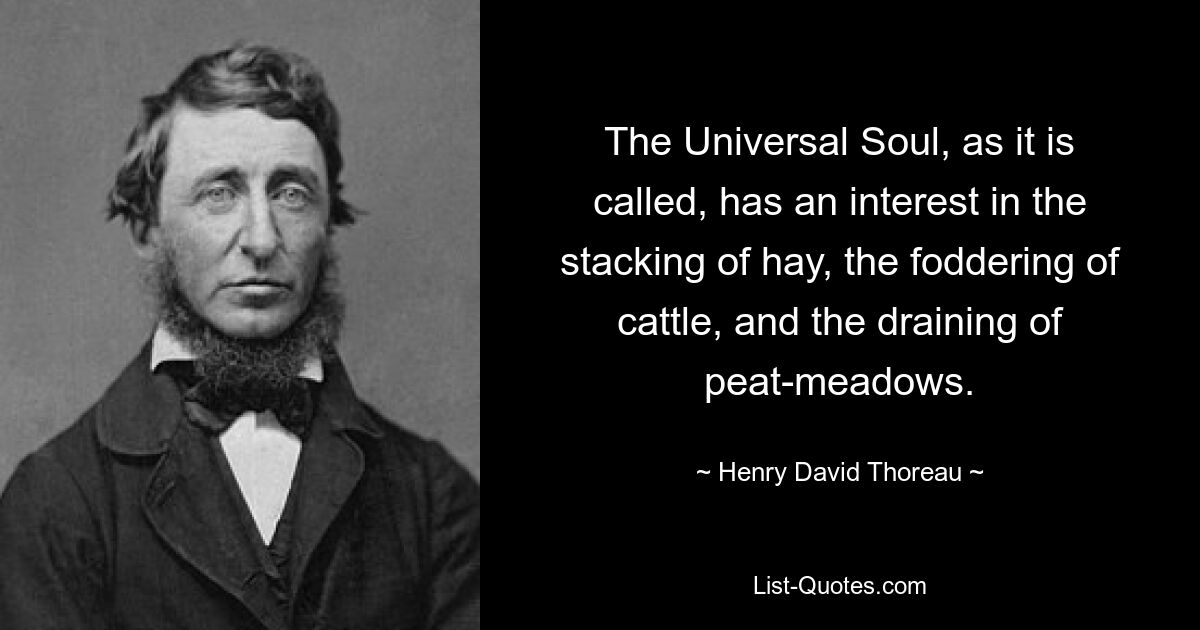 The Universal Soul, as it is called, has an interest in the stacking of hay, the foddering of cattle, and the draining of peat-meadows. — © Henry David Thoreau