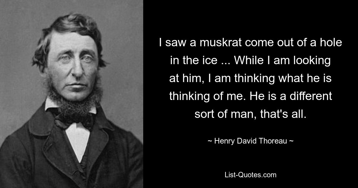 I saw a muskrat come out of a hole in the ice ... While I am looking at him, I am thinking what he is thinking of me. He is a different sort of man, that's all. — © Henry David Thoreau