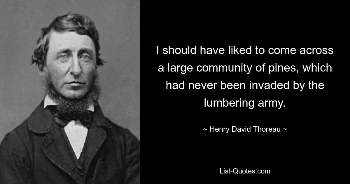 I should have liked to come across a large community of pines, which had never been invaded by the lumbering army. — © Henry David Thoreau