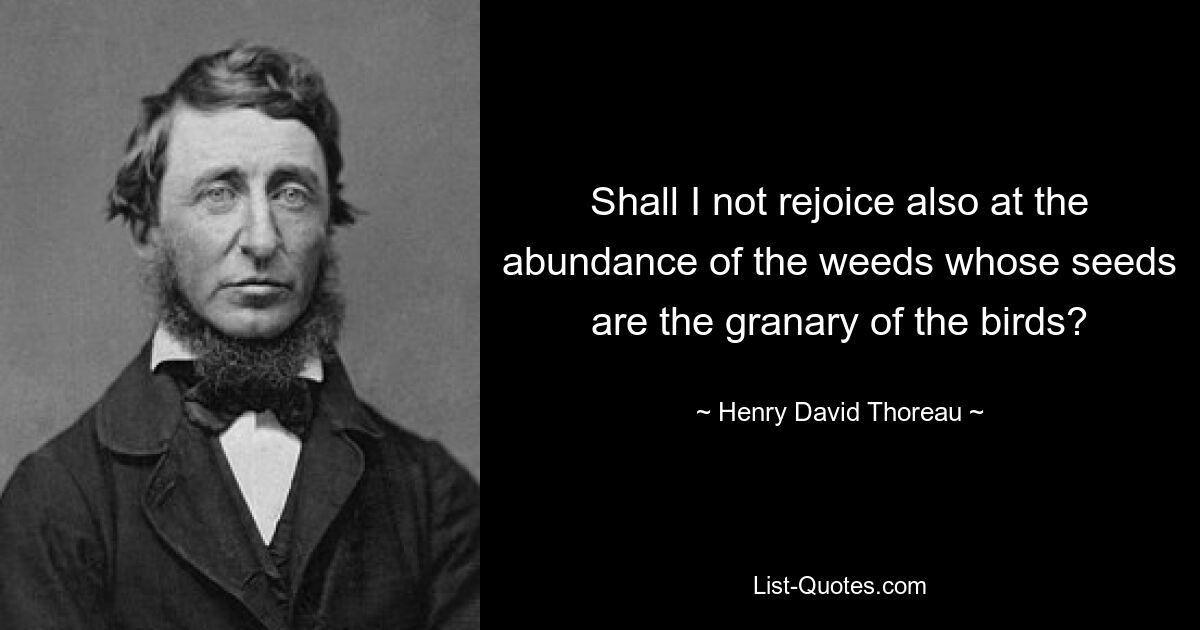 Shall I not rejoice also at the abundance of the weeds whose seeds are the granary of the birds? — © Henry David Thoreau