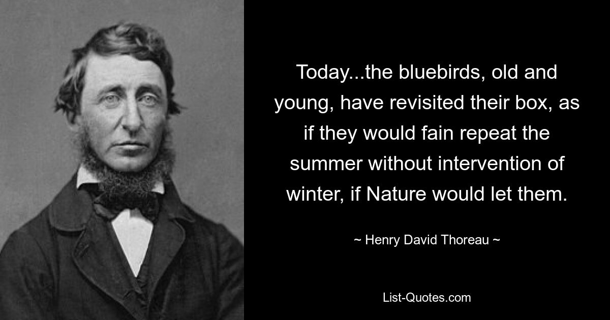 Today...the bluebirds, old and young, have revisited their box, as if they would fain repeat the summer without intervention of winter, if Nature would let them. — © Henry David Thoreau