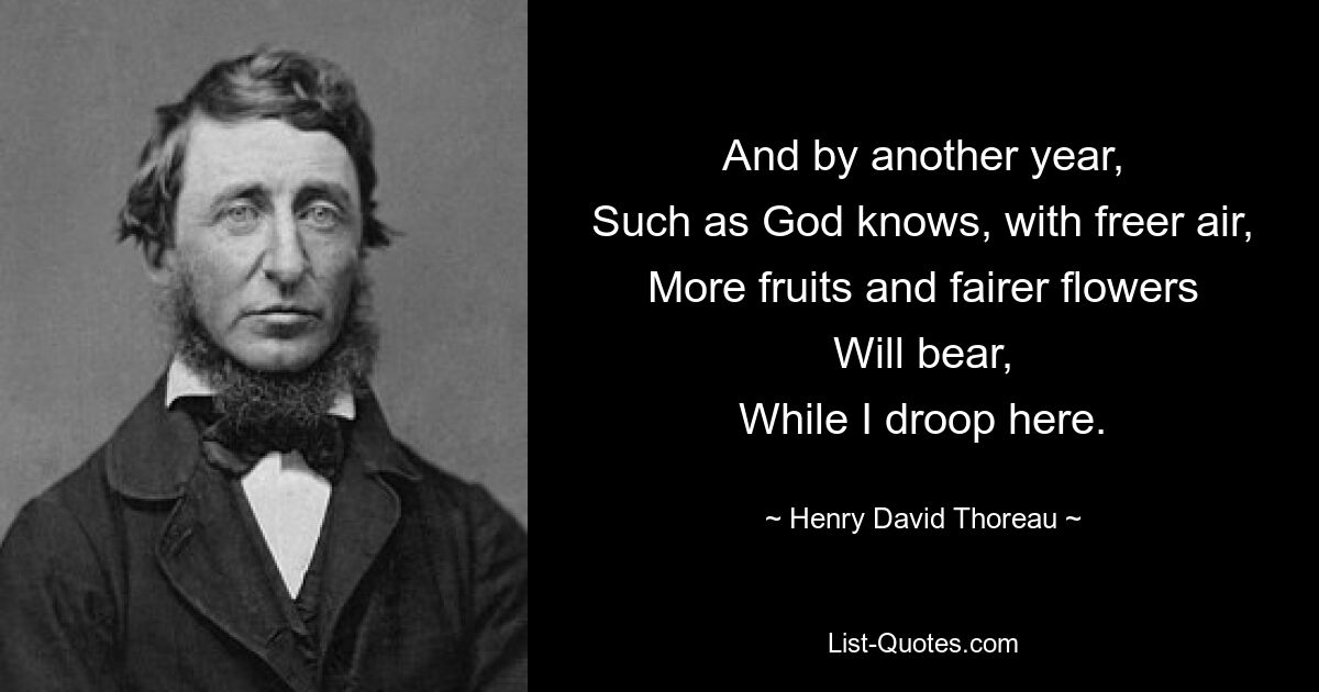 And by another year,
Such as God knows, with freer air,
More fruits and fairer flowers
Will bear,
While I droop here. — © Henry David Thoreau