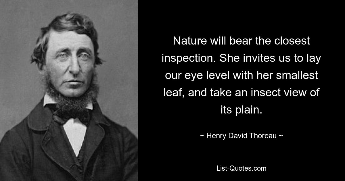 Nature will bear the closest inspection. She invites us to lay our eye level with her smallest leaf, and take an insect view of its plain. — © Henry David Thoreau