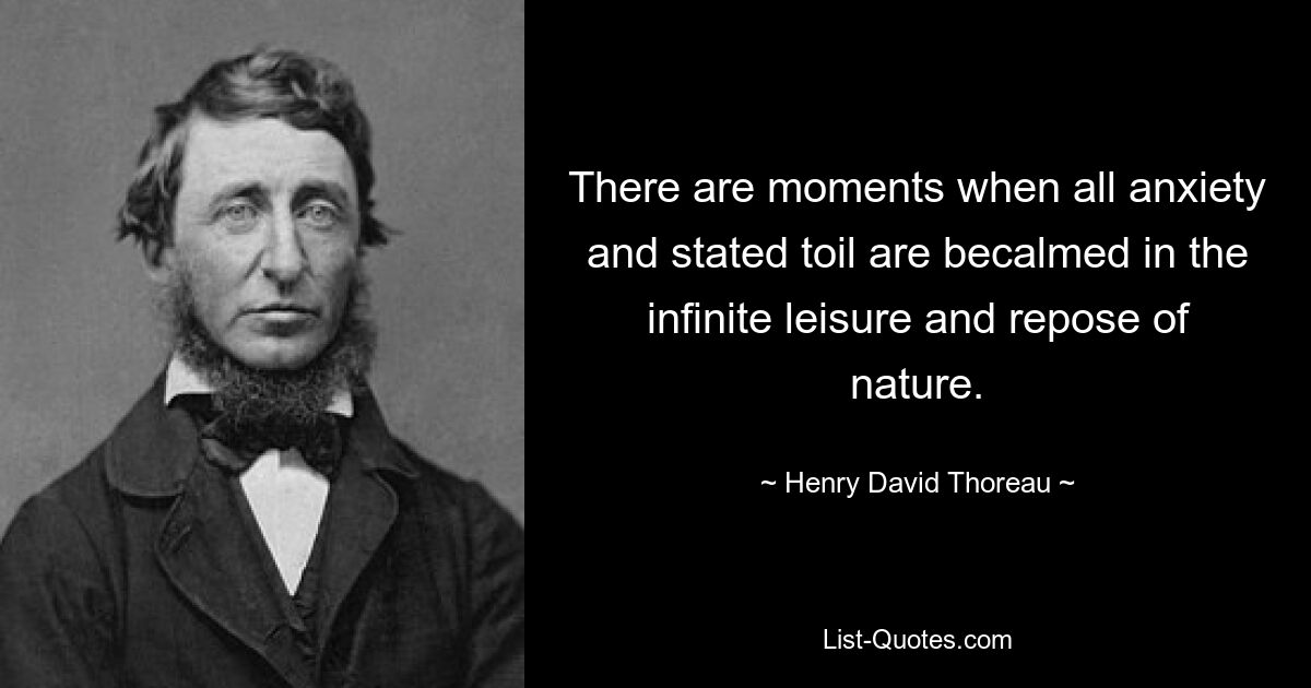 There are moments when all anxiety and stated toil are becalmed in the infinite leisure and repose of nature. — © Henry David Thoreau