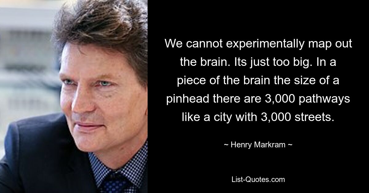 We cannot experimentally map out the brain. Its just too big. In a piece of the brain the size of a pinhead there are 3,000 pathways like a city with 3,000 streets. — © Henry Markram