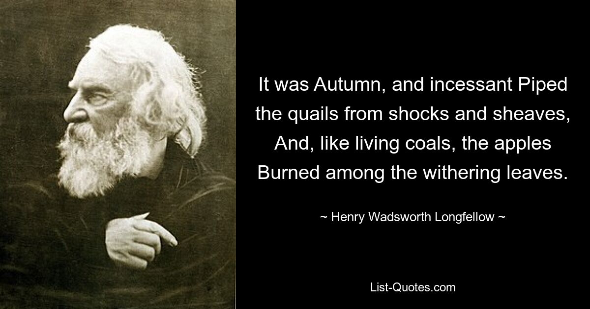 It was Autumn, and incessant Piped the quails from shocks and sheaves, And, like living coals, the apples Burned among the withering leaves. — © Henry Wadsworth Longfellow