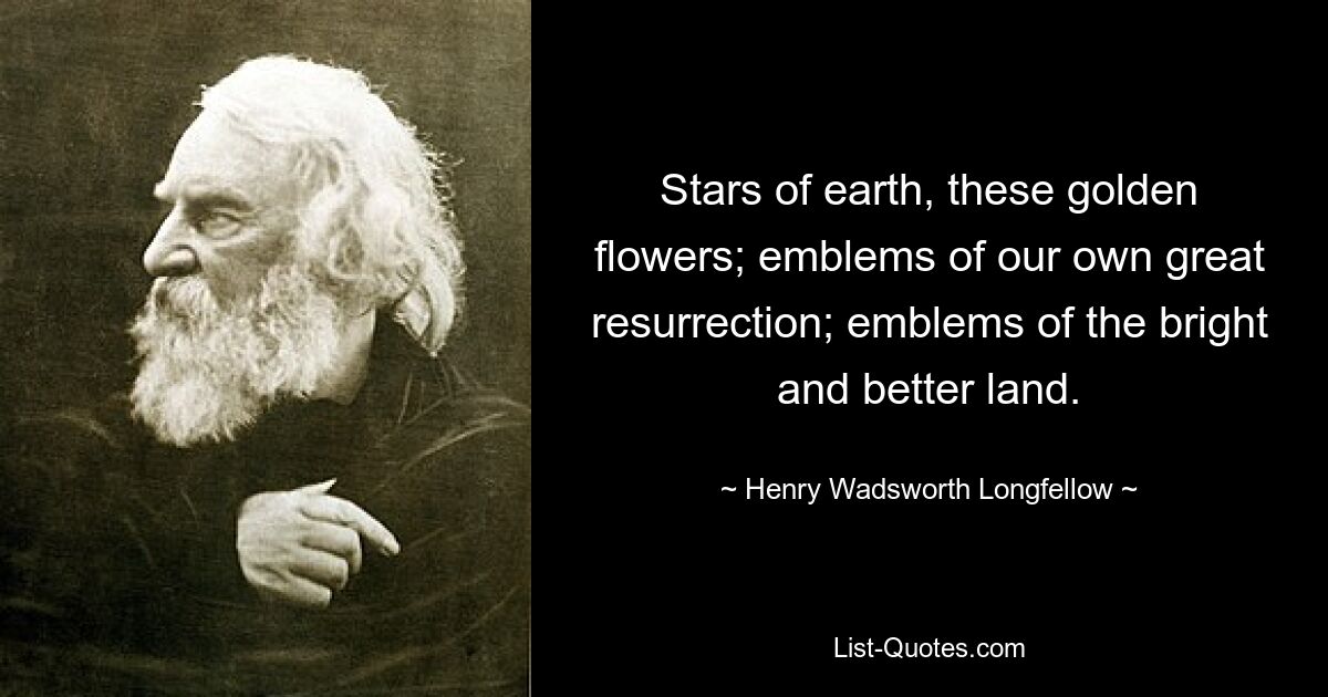 Stars of earth, these golden flowers; emblems of our own great resurrection; emblems of the bright and better land. — © Henry Wadsworth Longfellow